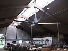 Großraumlüfter, Stalllüfter,Großraumlüfter, Deckenlüfter