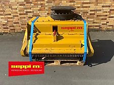 SEPPI M. BMS 125