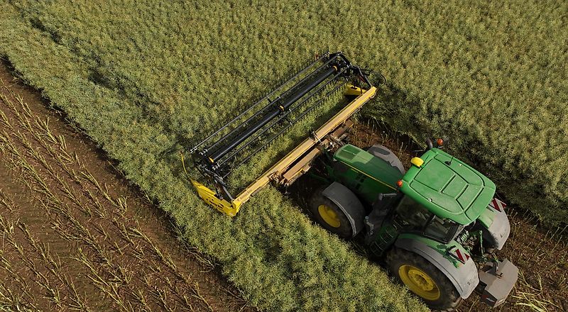 Honey Bee ST 18 - BANDSCHWADMÄHWERK