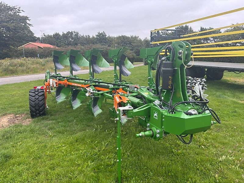 Amazone Teres 5 furet