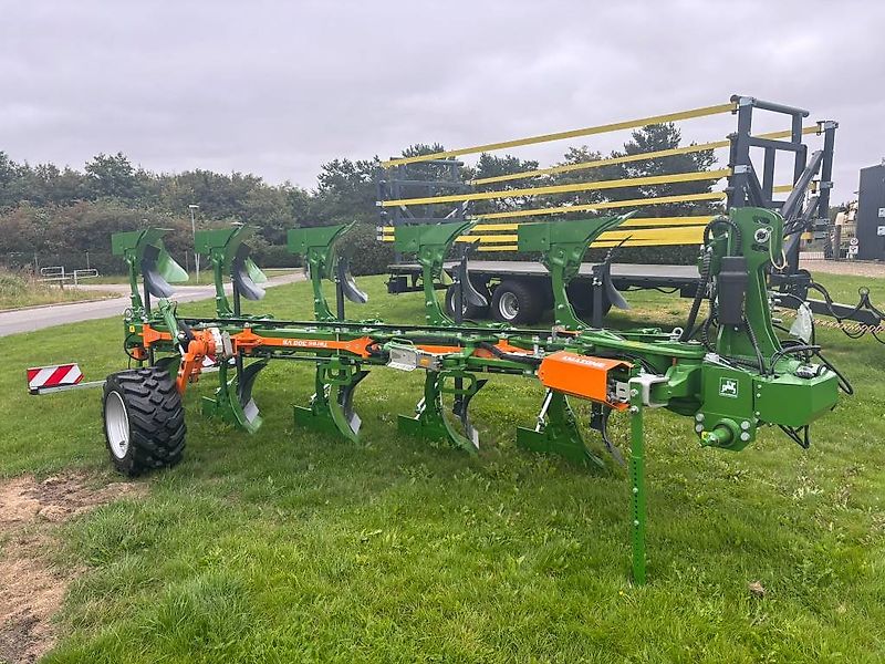 Amazone Teres 5 furet